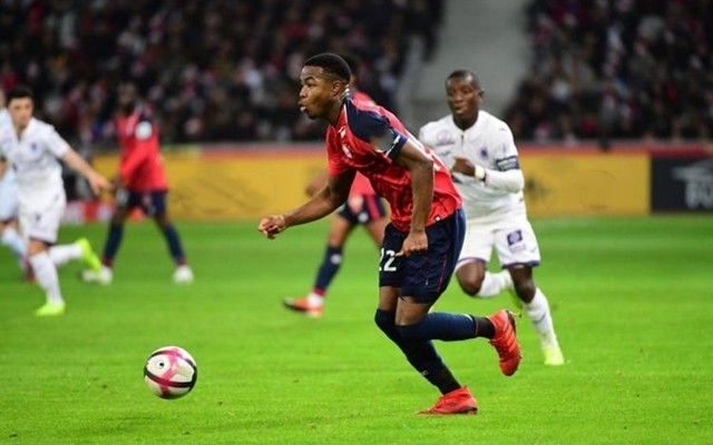 面取得了显 面取得了显