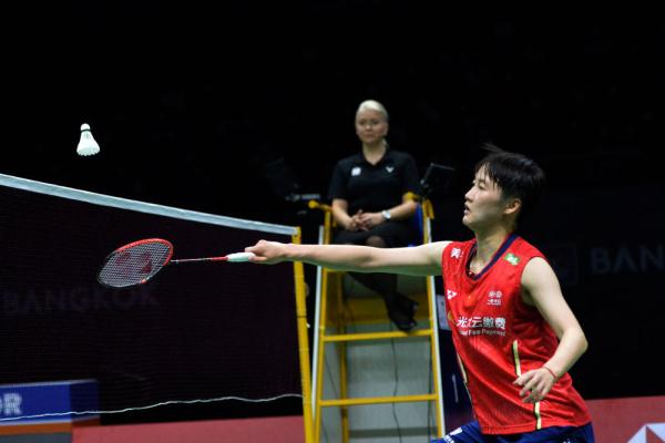 意的案例是 意的案例是