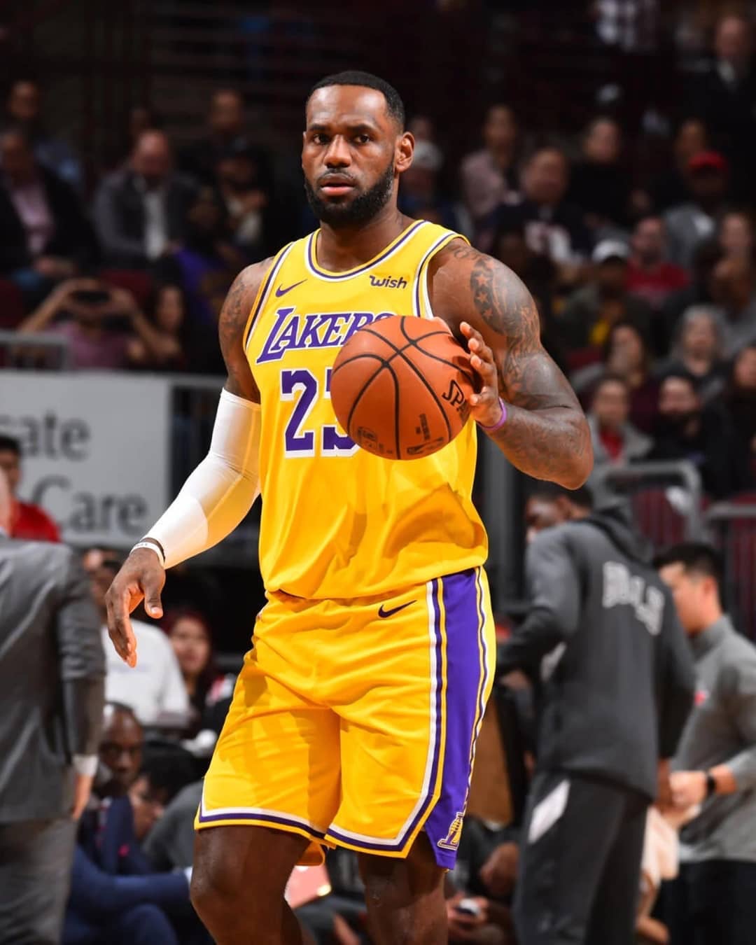 阵容磨合周 阵容磨合周